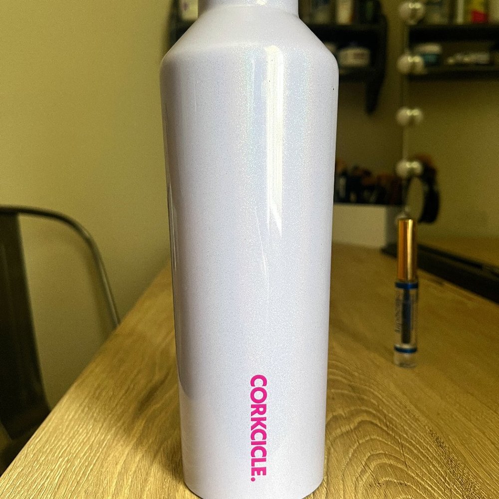 Corkcicle Canteen Water Bottle